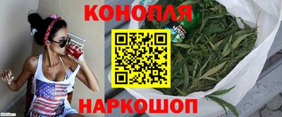 spice Гудермес