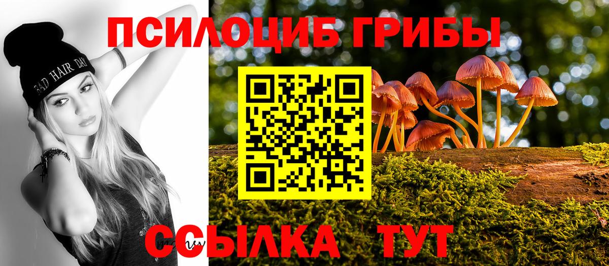 Зеленодольск  Псилоцибиновые грибы Magic Shrooms  Вход с VPN 