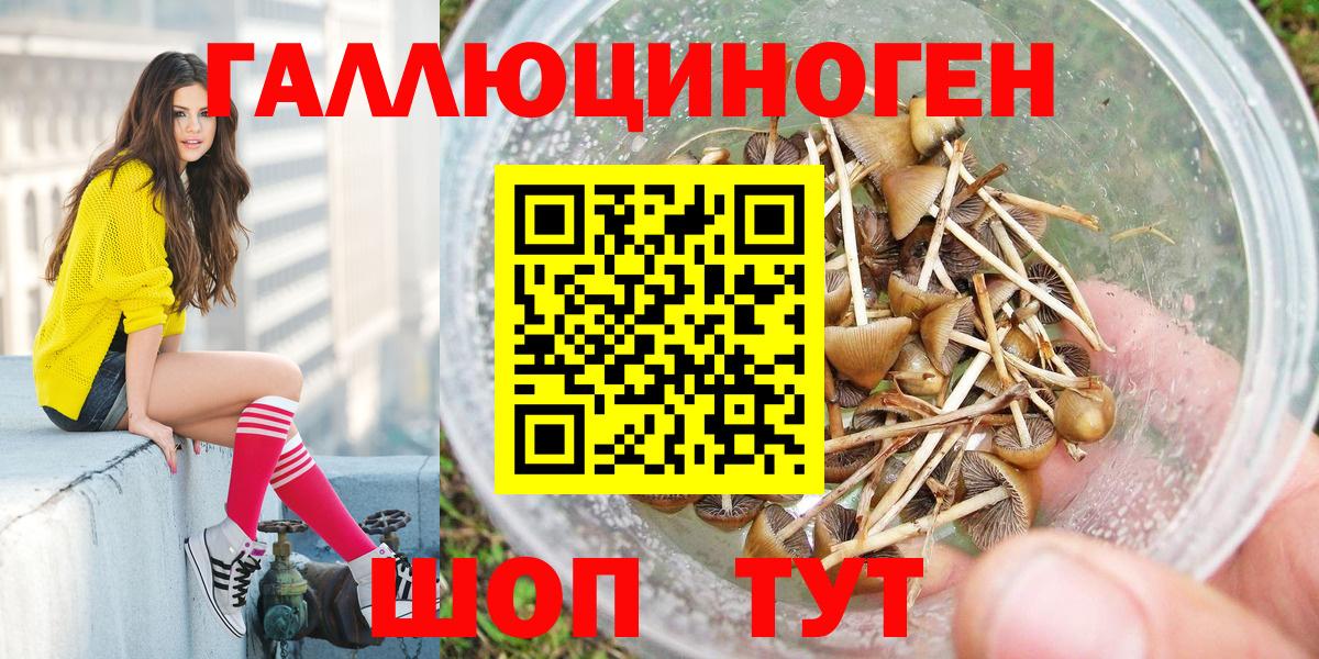 Галлюциногенные грибы ЛСД Зеленодольск